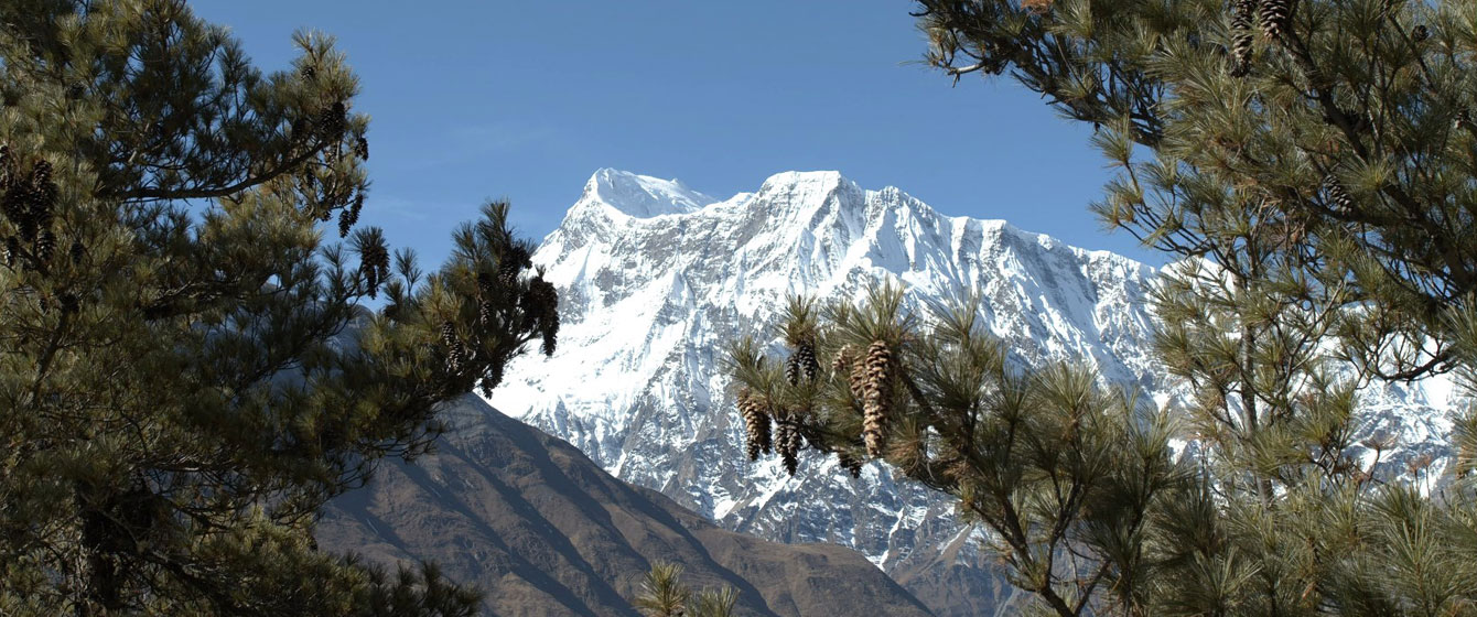 Annapurna Panorama Trek