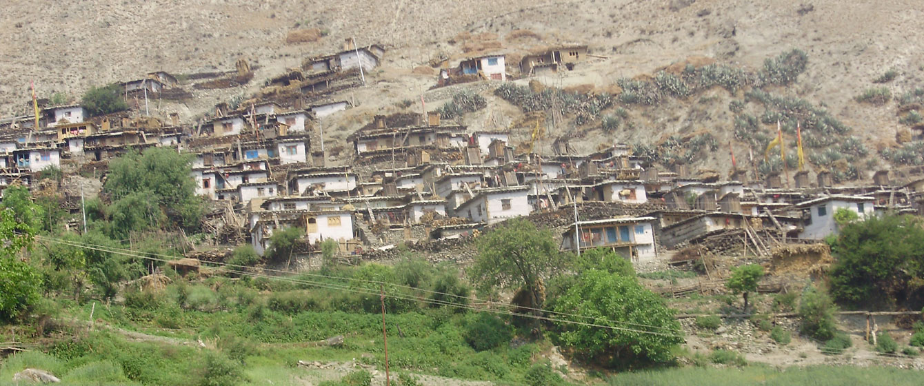 Dolpo