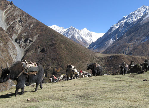 Tsum Valley Trek